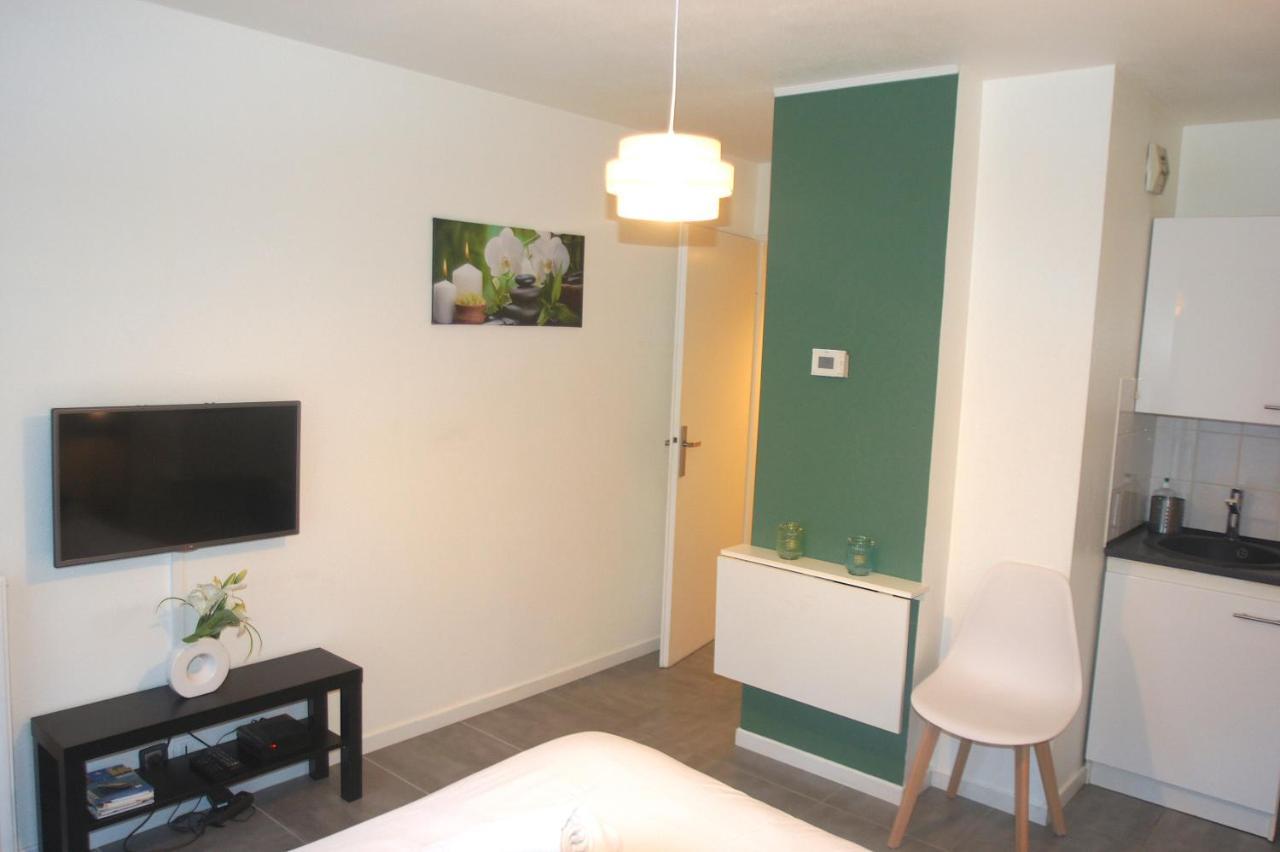 Le Saint Eloi - Studio Avec Parking Toulouse Centre Apartment Bagian luar foto